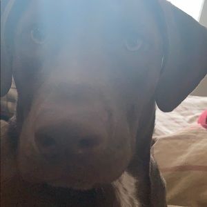 Meet your Posher, Linda